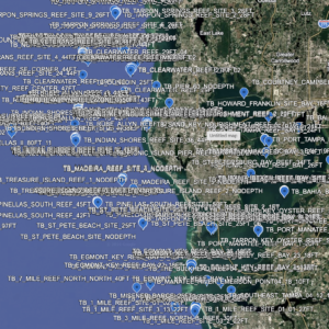 Tampa Bay Fishing Spots GPS Coordinates (447 Reefs, Wrecks & Structure Points) DIGITAL DOWNLOAD